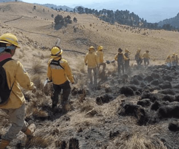 Brigadistas combaten incendio en Parque Izta-Popo