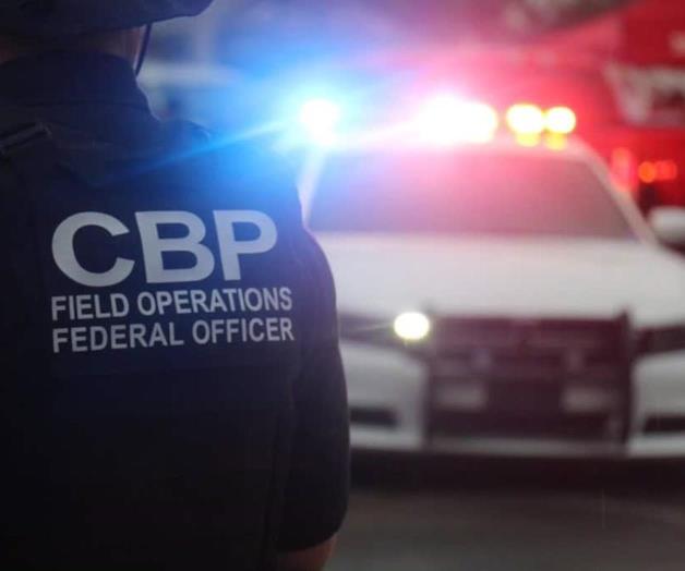 Arrestan a estadounidense: Intercepta CBP 3 monos en puente de Brownsville