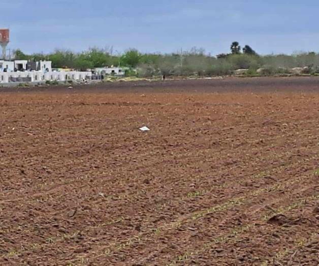 Preocupa aumento a hidrocarburos: Exigen campesinos subsidio al diésel Preocupa aumento a hidrocarburos: Exigen campesinos subsidio al diésel