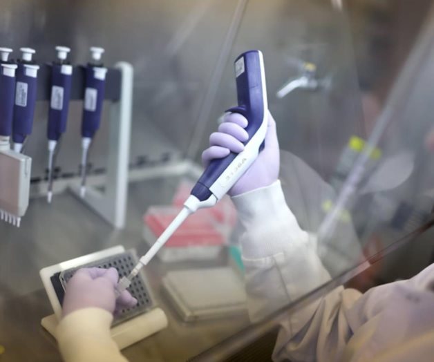 Confirmada Primera Muerte por Gripe Aviar en EEUU Confirmada Primera Muerte por Gripe Aviar en EEUU