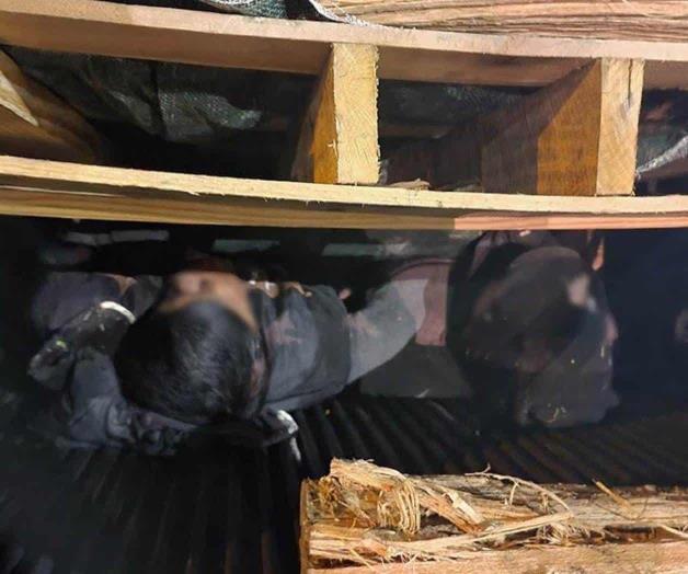 Descubren a dos migrantes debajo de paleta de madera Descubren a dos migrantes debajo de paleta de madera