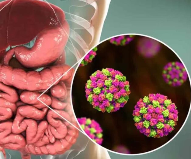 Alerta sanitaria por presencia de norovirus en Matamoros Alerta sanitaria por presencia de norovirus en Matamoros