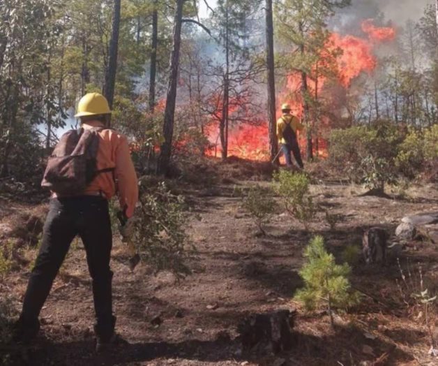 An&aacute;lisis detallado de los incendios forestales en M&eacute;xico