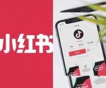 RedNote podría sustituir a TikTok si se prohíbe en EU