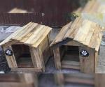 Entregan casas para el resguardo animal