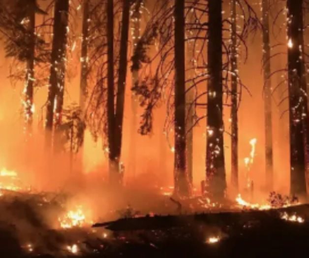 Incendios en California: análisis de las teorías de conspiración