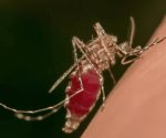 Aumenta 57% defunciones por dengue en 2024