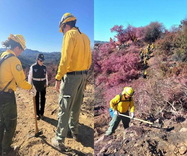 Intensifica delegación mexicana labores de búsqueda y rescate en California