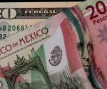 Actualización del precio del dólar y mercados financieros