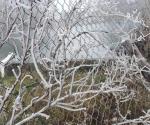 Reportan hielo en Sierra de Santiago