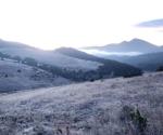 Cerro del Potosí se cubre de blanco por nieve en Galeana