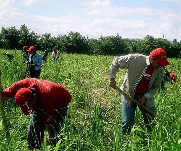 Trabajadores agrícolas van por cooperativas para deportados