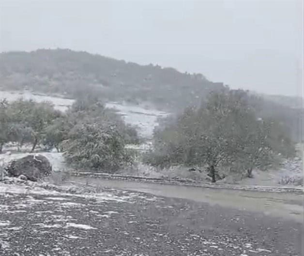 Caída de nieve en Cruillas y Burgos