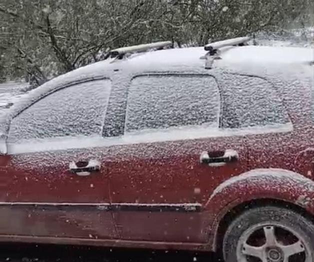 Caída de nieve en Cruillas y Burgos