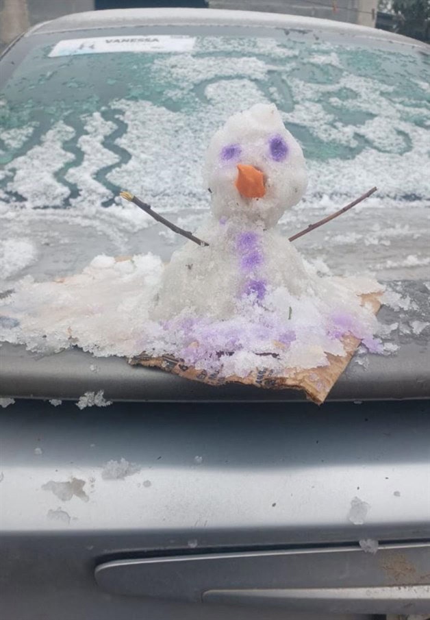 Caída de nieve en Cruillas y Burgos