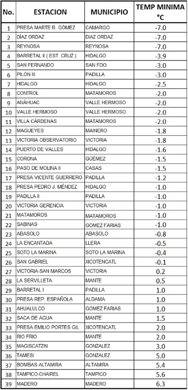 Temperaturas bajo cero congelan Tamaulipas: estos fueron los municipios más fríos