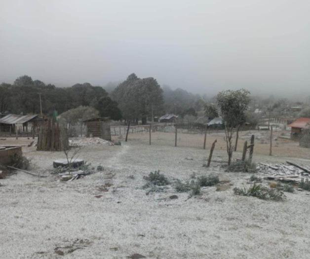 Temperaturas bajo cero congelan Tamaulipas: estos fueron los municipios más fríos