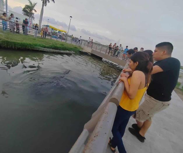 Pondrán fin a descargas: Busca Comapa sanear Laguna del Carpintero