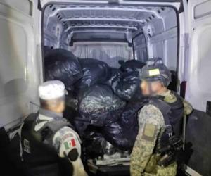 Aseguran 27.8 millones de pesos en droga en Guanajuato