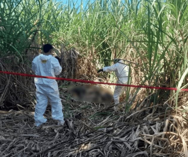 Hallan muertos a 3 hombres y una mujer cerca de carretera chiapaneca