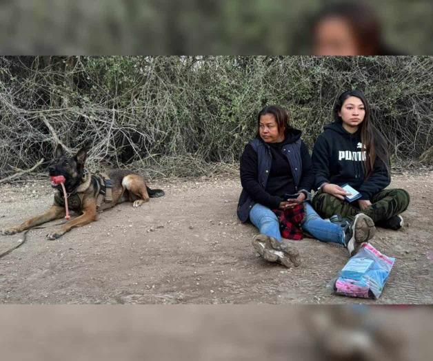 Agente canino del DPS las encuentra: Abandonan traficantes a 2 mujeres en Mission