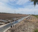 Temen productores de la Ribereña que haya heladas en febrero