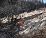 En el Sur California: de Provocan las lluvias flujos de lodo pero ayudan a bomberos