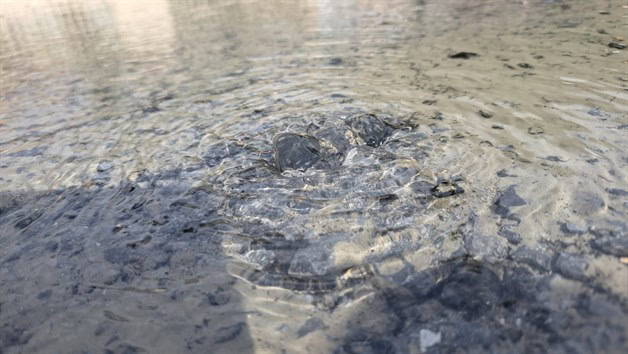 Abundan en la ciudad fugas de agua potable