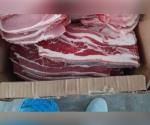 Aumento en la demanda de carne de cerdo en Matamoros