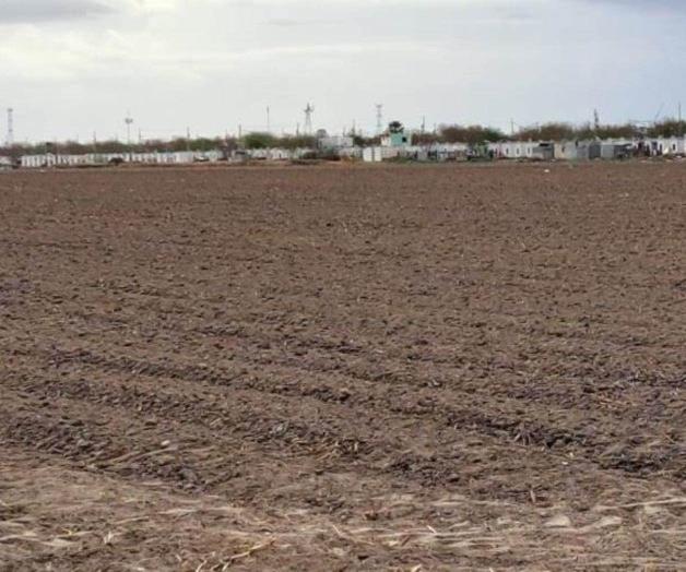 Reinicio de siembras en Reynosa tras superar peligros Reinicio de siembras en Reynosa tras superar peligros