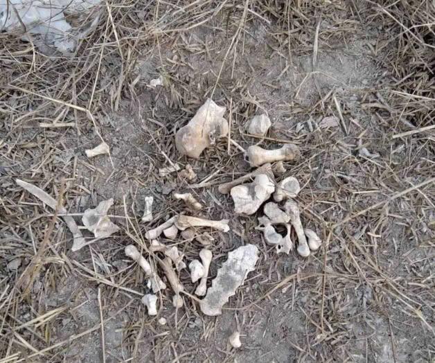 Colectivo halla restos óseos en Río Bravo
