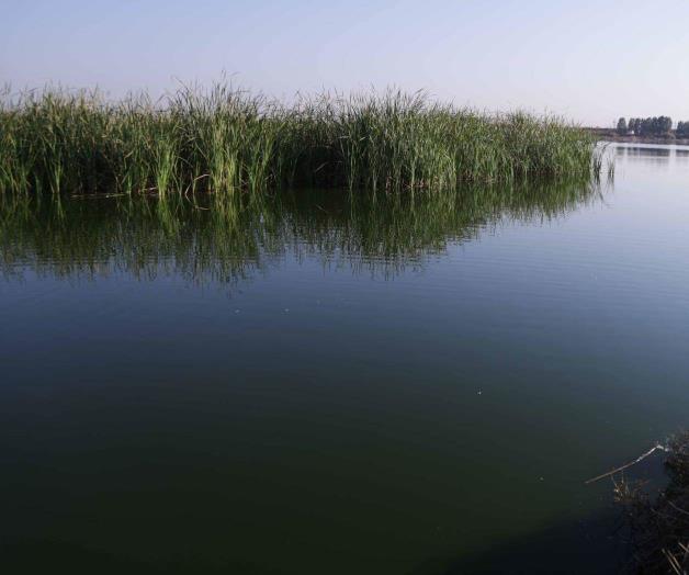 Designación del Lago de Texcoco como Sitio Demostrativo de Ecohidrología por la Unesco