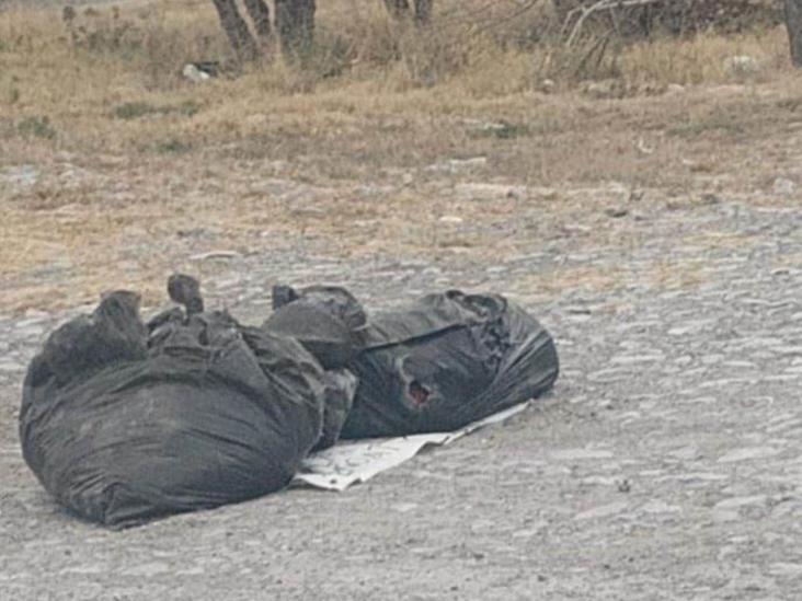 Hallazgo de restos humanos en Galeana en Carretera 57