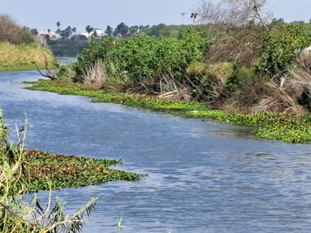Márgenes del río Bravo sin vigilancia