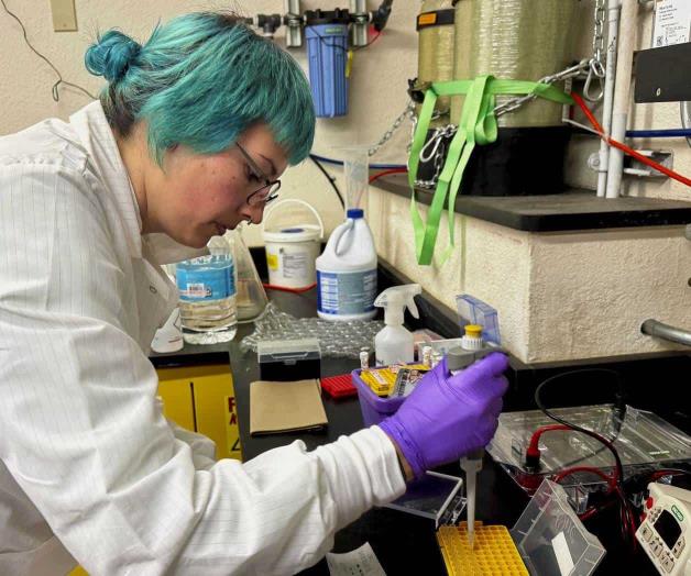 En duda  el futuro de investigaciones: Medidas contra iniciativas de diversidad causan temor