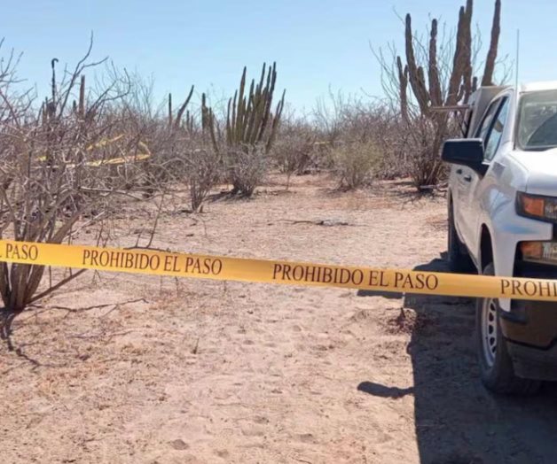 Hallan 7 fosas clandestinas en Baja California Sur Hallan 7 fosas clandestinas en Baja California Sur