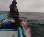 Para la zona de la laguna de San Fernando: Arranca la entrega de  apoyos de Bienpesca