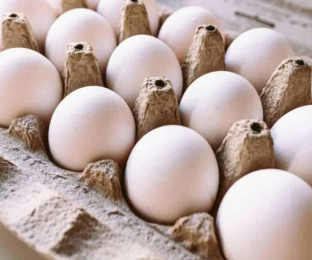 Al alza precios del huevo por influenza aviar en EU Al alza precios del huevo por influenza aviar en EU