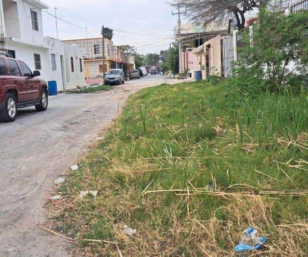 Vecinos de la Independencia: Protestan contra la invasi&oacute;n de hierba