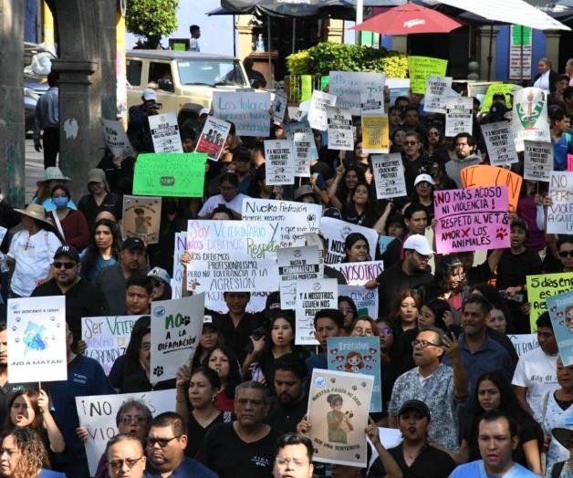 Protesta de Médicos Veterinarios en México