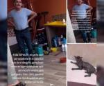 Salinas arremete contra hombre que atacó a gata en Villaher