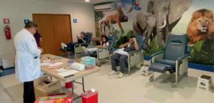 En Hospital Materno Infantil: Inicia campaña de donación de sangre