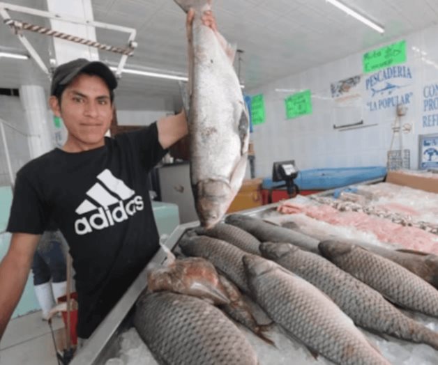 Por Cuaresma, estiman aumento en venta de pescado y mariscos Por Cuaresma, estiman aumento en venta de pescado y mariscos