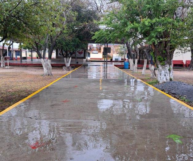 Asiste a clases un 5% del alumnado Asiste a clases un 5% del alumnado