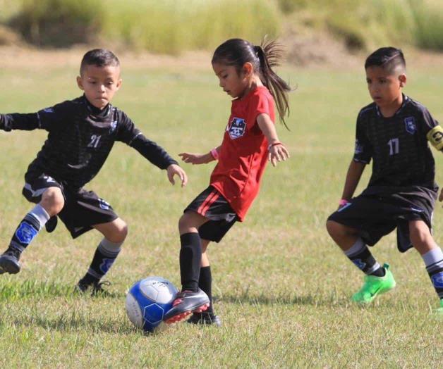 Primera edición de la copa tiburones de fútbol: ¡Que ruede el balón! Primera edición de la copa tiburones de fútbol: ¡Que ruede el balón!