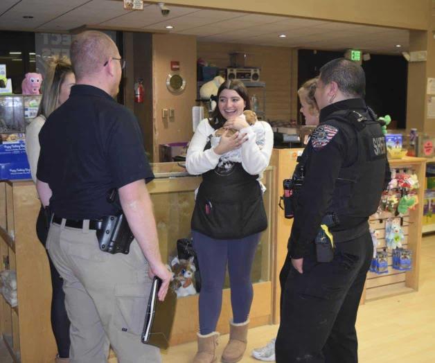 Ladrones roban bulldogs de una tienda de mascotas