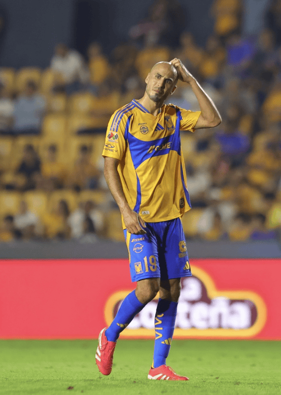 Veljko Paunovic deja de ser técnico de Tigres Veljko Paunovic deja de ser técnico de Tigres