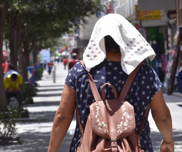 Esperan un clima cálido