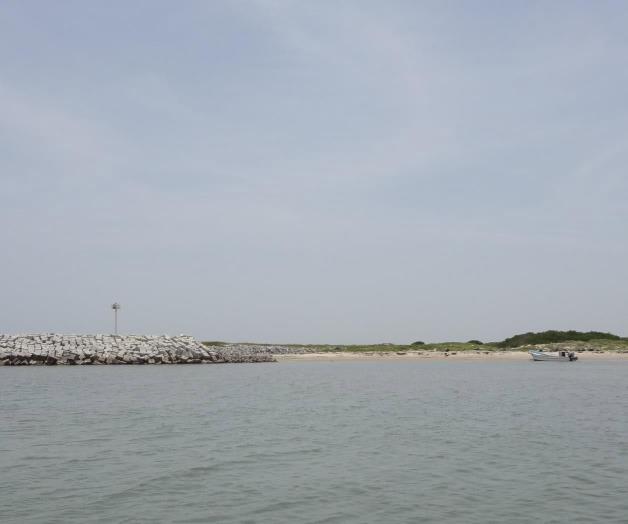 Por fuertes vientos y oleajes: Cancelan pesca en altamar