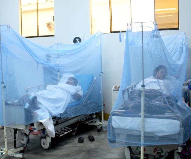 Tiene el sur 163 casos de dengue Tiene el sur 163 casos de dengue